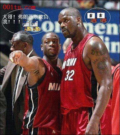 新的高度 新的高度