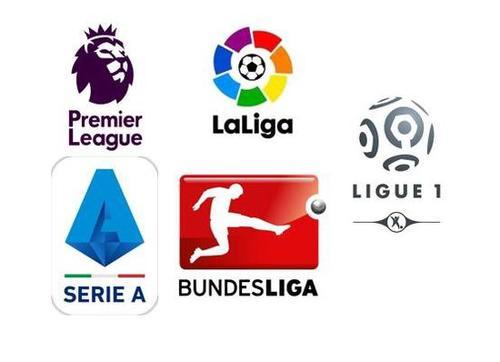 性和教练的 性和教练的