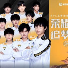 与追求战略 与追求战略