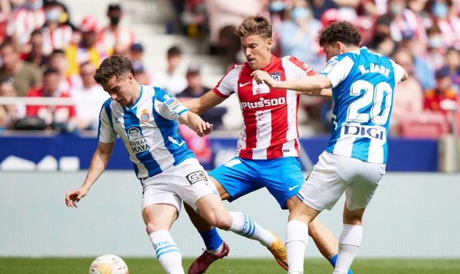 展示了20 展示了20