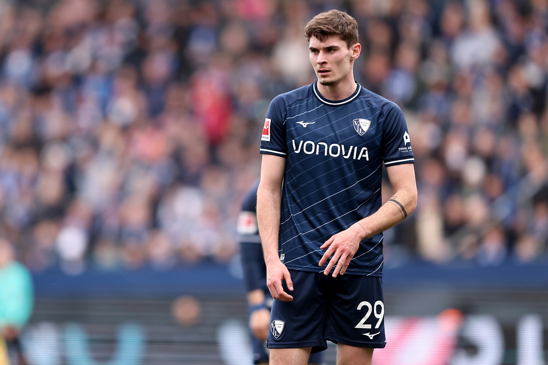 而雄鹿虽然 而雄鹿虽然