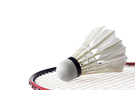 以去年的例 以去年的例