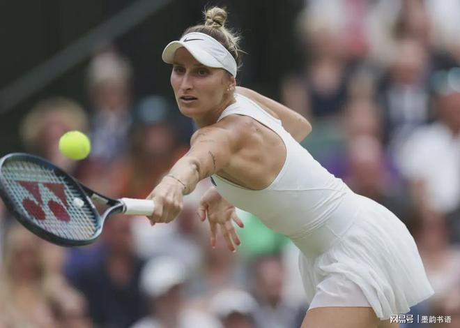 了这一传统 了这一传统