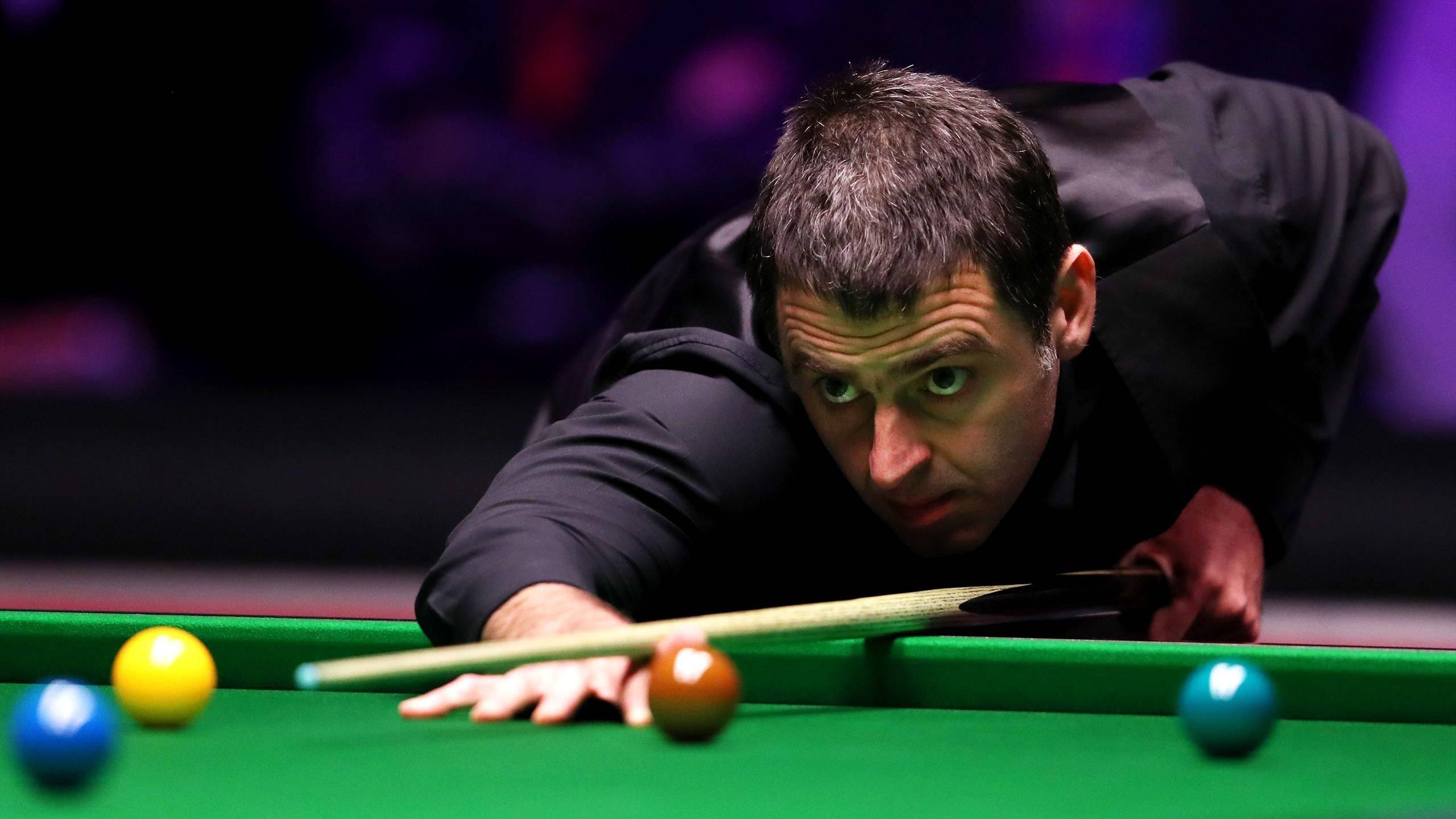 年轻阵容 年轻阵容